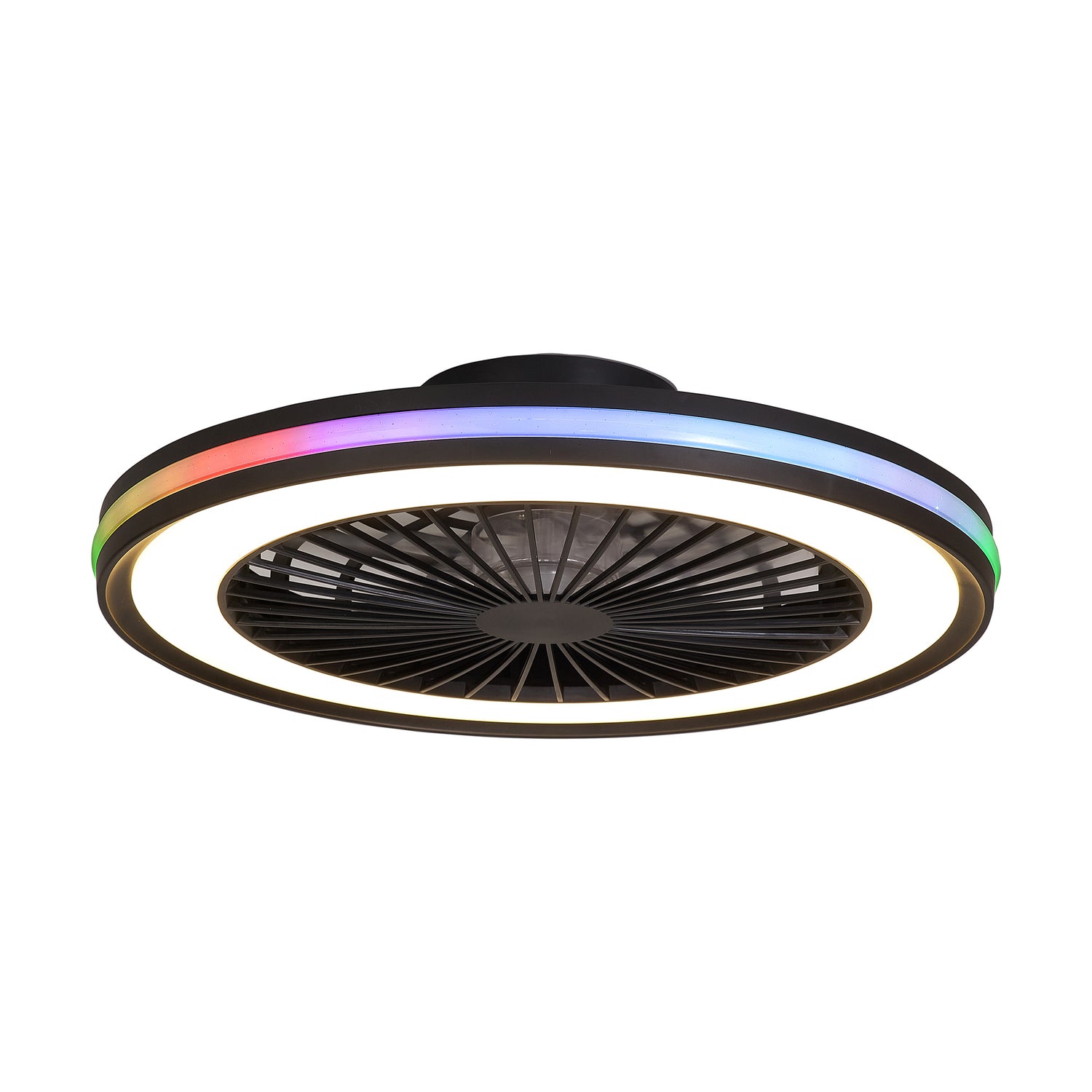 Ceiling Fans With Hidden Blades and RGB